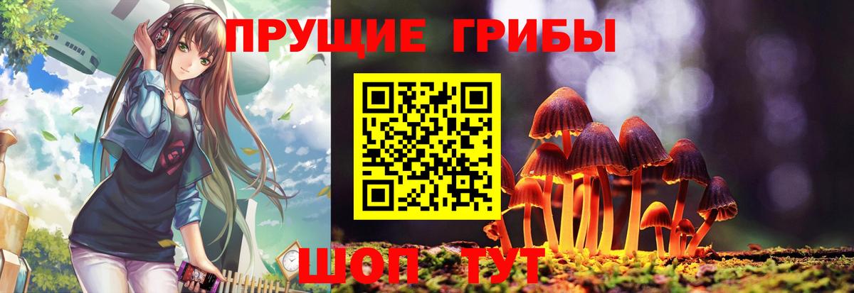 Галлюциногенные грибы GOLDEN TEACHER Видное