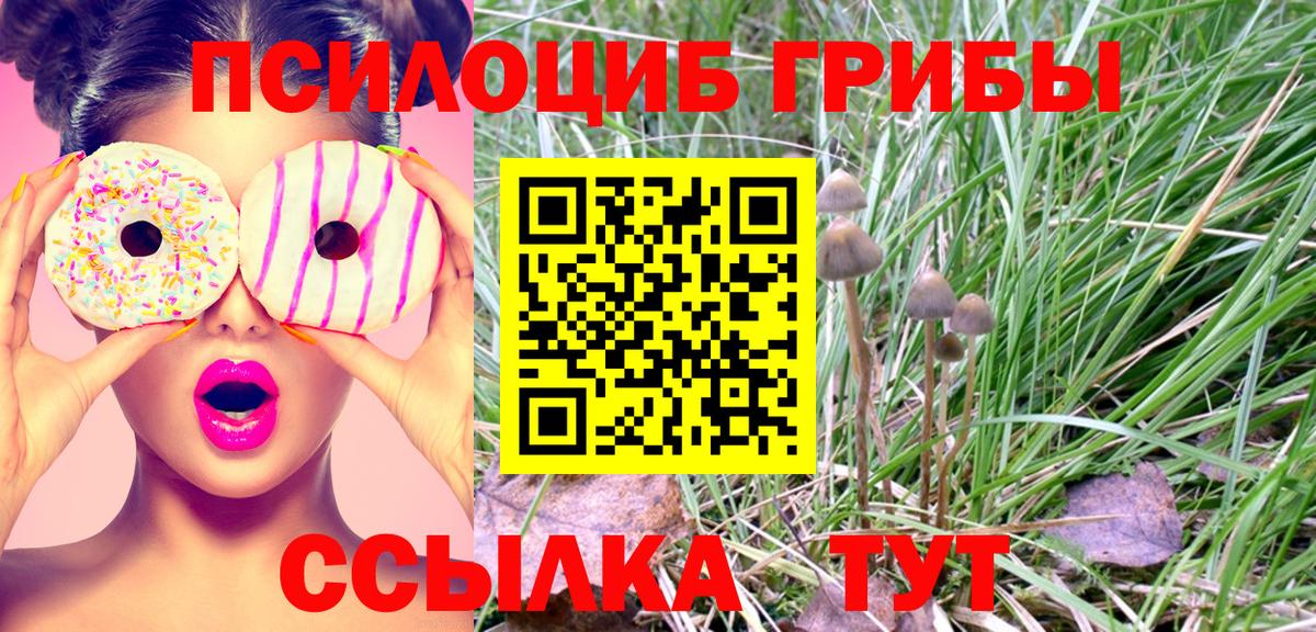 Видное  Галлюциногенные грибы GOLDEN TEACHER  Вход с VPN 