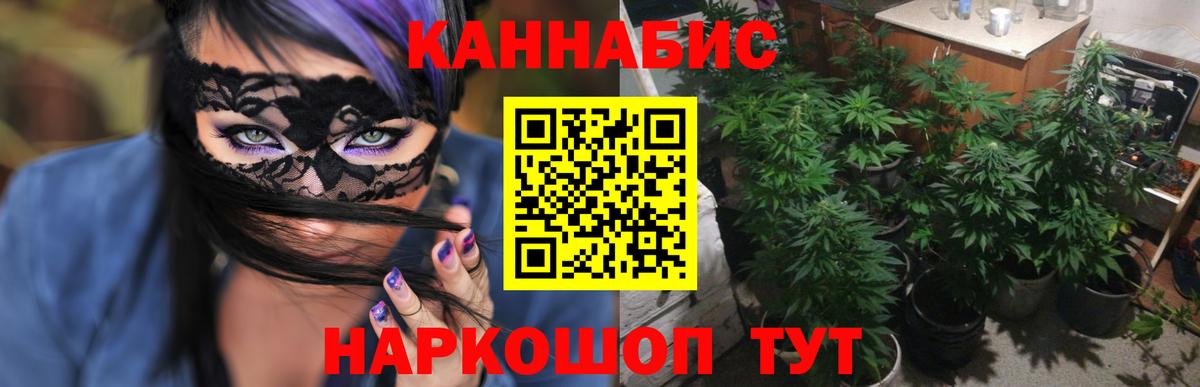 Видное  Шишки марихуана план  Вход с VPN  МАРИХУАНА OG Kush  Конопля Ganja  Бошки Шишки Ganja 